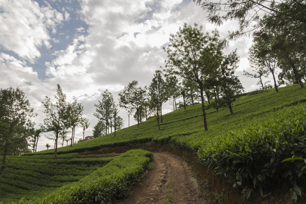 Mount Valley Resort - A Secluded Getaway Munnar Exterior photo